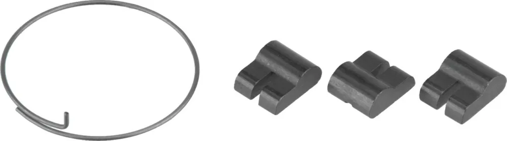 Top-Seller Fulcrum Sperrklinken R0-022X für RR Freilaufkörper aus Stahl - universal