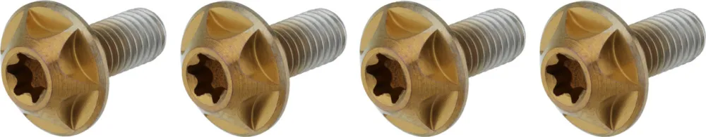 Schneller Versand SILCA Titan Flaschenhalterschrauben Torx - bourbon
