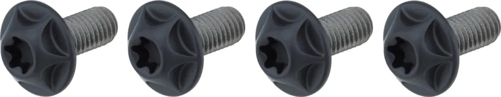 Sonderaktion SILCA Titan Flaschenhalterschrauben Torx - schwarz