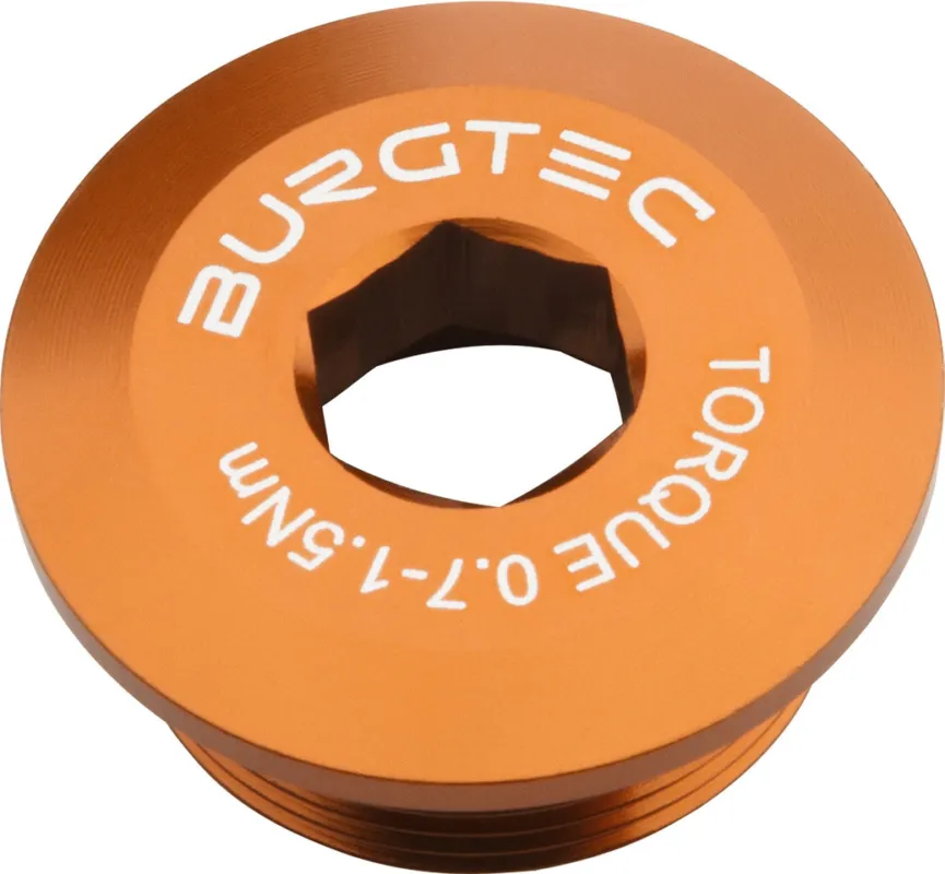 Burgtec Kurbelarmschraube für Shimano Hollowtech II/E-Bike Motor - kash bronze Kostenfreie Lieferung