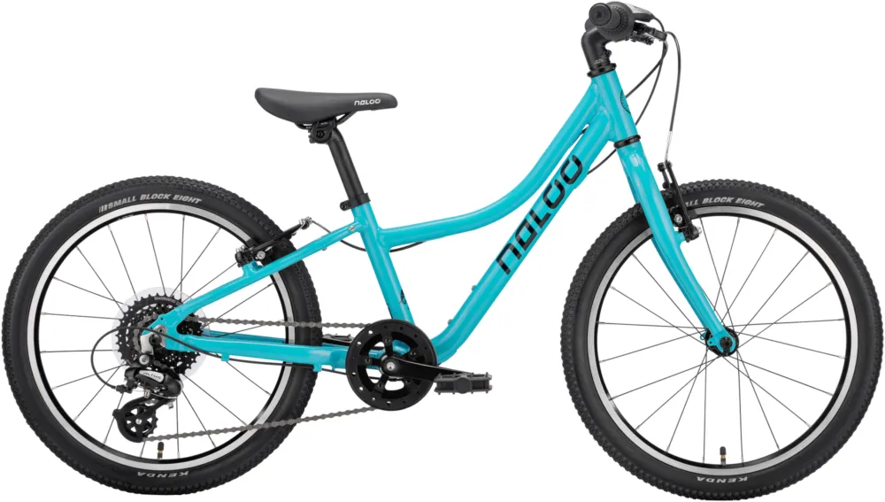 Naloo Chameleon 20" MK2 - 20 Zoll - Diamant - 2026 - turquoise - Größe One Size Meistverkauft